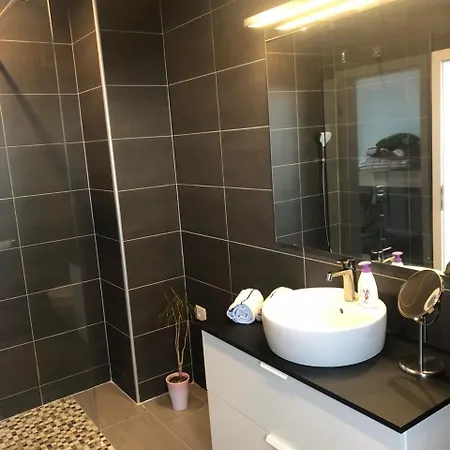 Apartma Lucija - Lejlighed Dekani